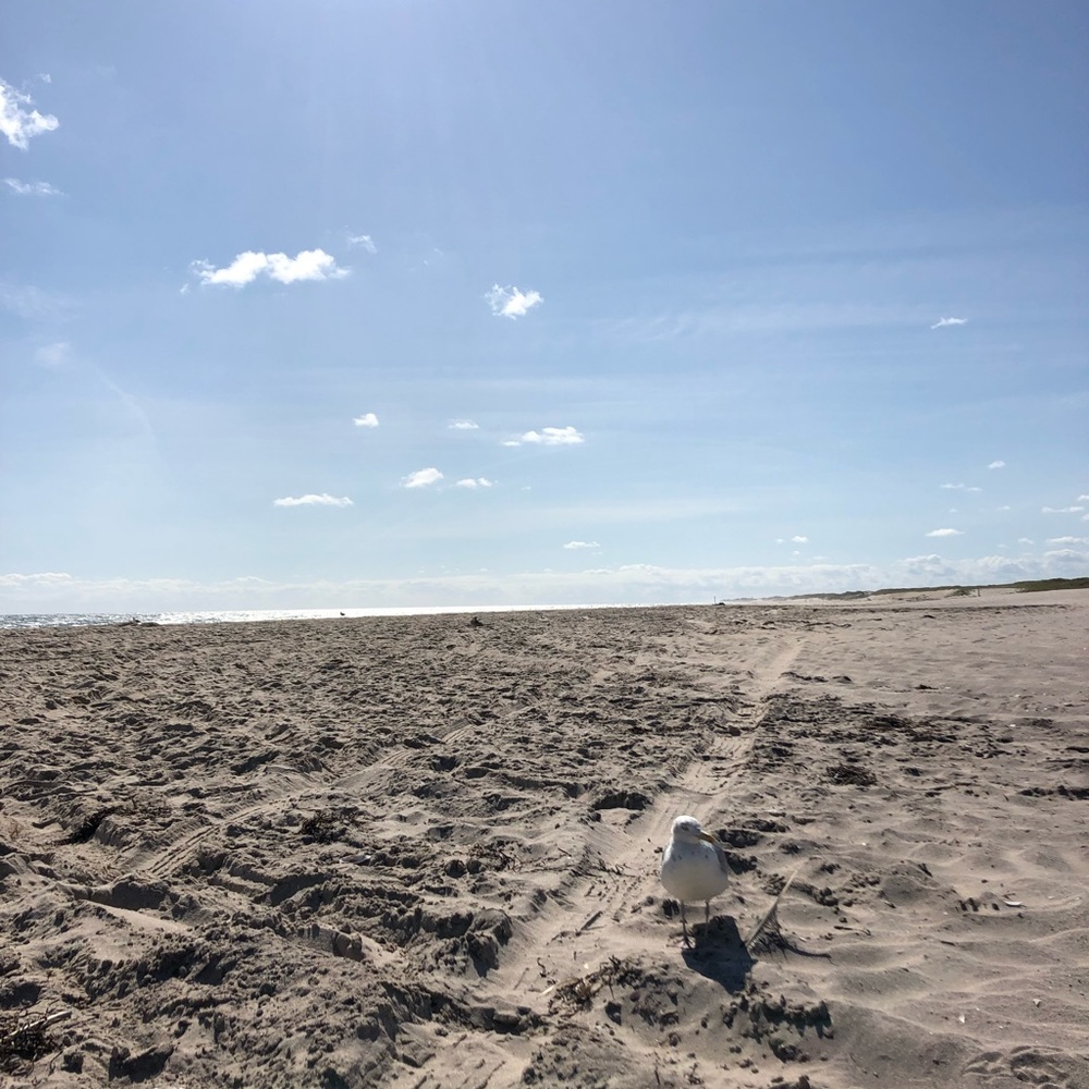 Meet your Posher, E